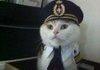 Americat Airlines