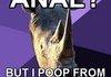 Anal?