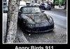 angry birds