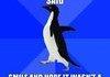 awkwarrd penguin
