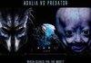 Adalia vs Predator.
