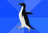 Akward penguin