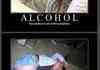 Alcohol motivation