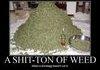 a ton of weed