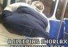 A sleeping Snorlax
