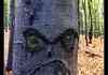 Angry Tree