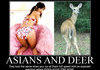Asians and Deer