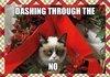 Grumpy Cat Xmas