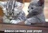 atheist cat