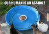 Asshole.