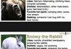 Animal Dating Profiles