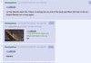 Al Gore on 4chan
