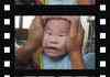 Asian Baby's Face