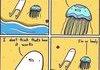 awkward jellyfish