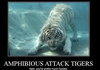 Amphibious Attack Tiger