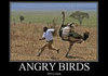 Angry Birds
