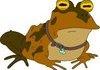 All Hail Hypnotoad
