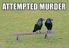 attempted murder