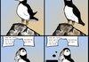 ask a puffin