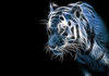 Awesome tiger wallpaper
