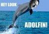 Adolfin