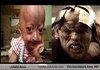 Adalia Rose