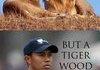 A Tiger Wood related title