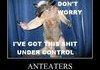 Anteaters