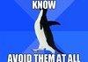 awkward penguin