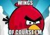 Angry Bird