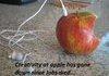 Apple's Creativity