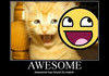 Awesome Cat