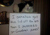 Asshole cat comp