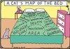 A cat's map of the bed.