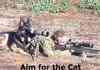 Aim for the cat