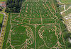 awesome corn maze