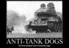 Anti Tank Dog