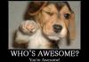 AWESOME
