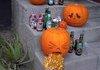 Alcoholic Pumpkins
