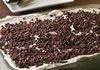 Chocolate Lasagna