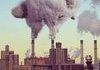 <b>cat</b> pollution