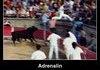 Adrenaline