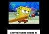 Are You Fucking Sponging Me