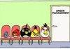 angry birds
