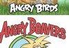 Angry Birds?