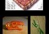 Awesome Food Art Compilation