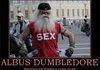 Albus Dumbledore