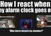 Alarm Clocks