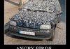 angry birds