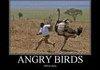 Angry Birds